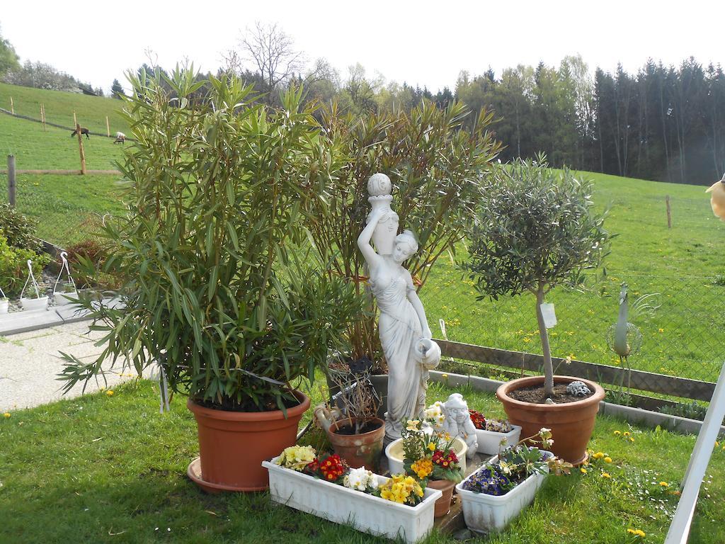 Privatzimmer Haus Gschweitl Semriach Extérieur photo